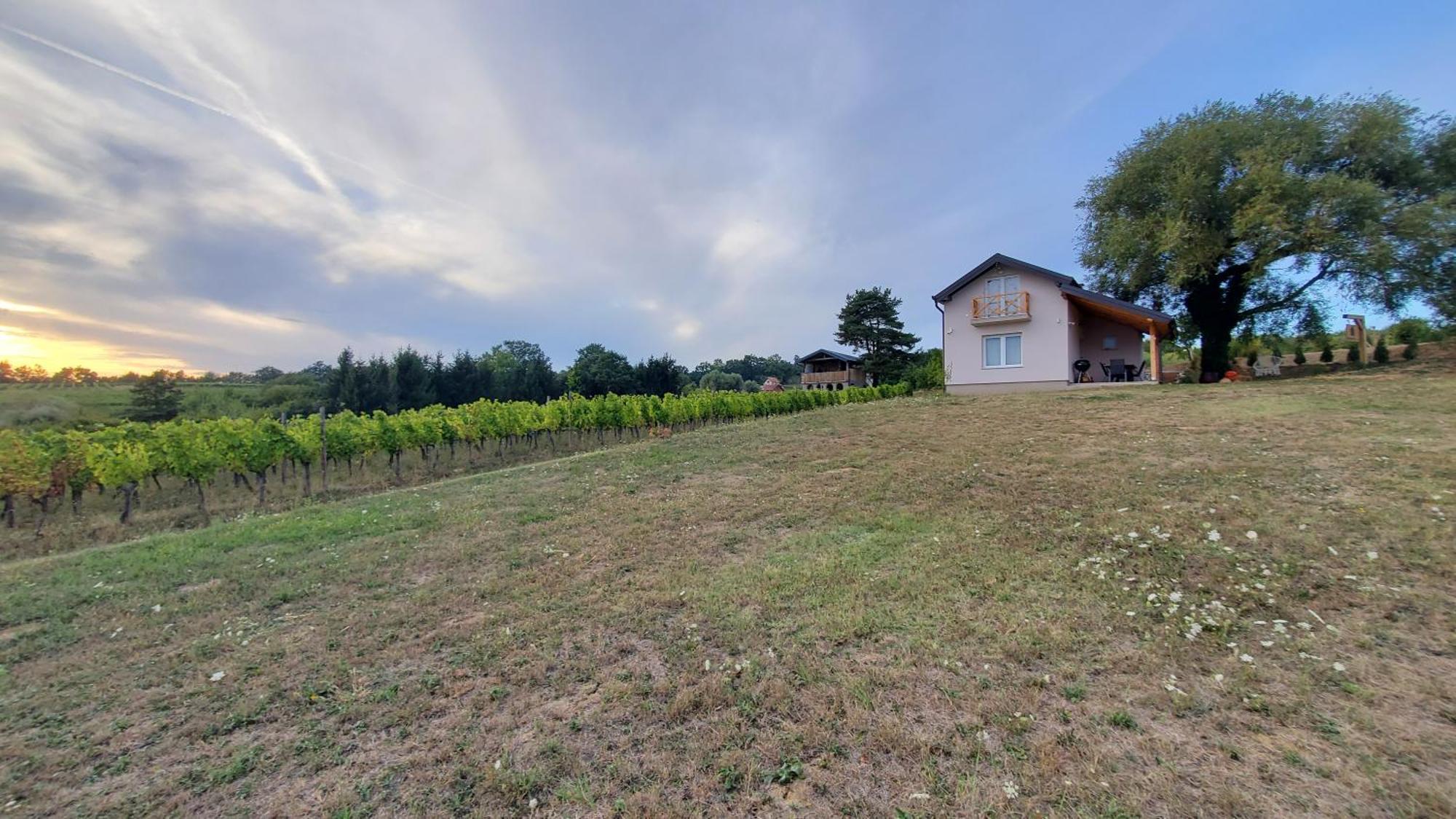 Holiday Home Vinovilla Kutjevo المظهر الخارجي الصورة